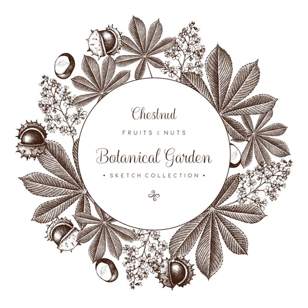 Gesztenye rajz Stock vektorok, Gesztenye rajz Jogdíjmentes ...