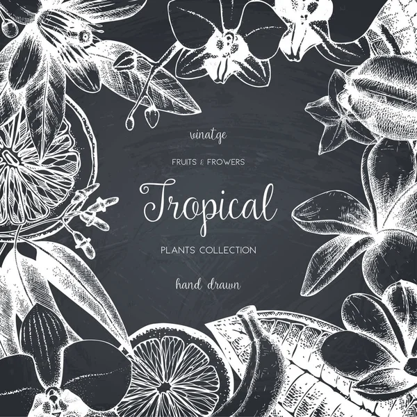 Diseño de flores tropicales, hojas y frutas — Vector de stock
