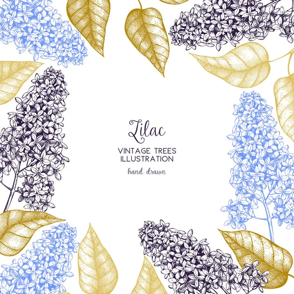 Blooming branches of lilac tree frame — Stock Vector