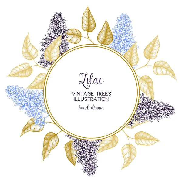 Ramas florecientes de marco de árbol lila — Vector de stock