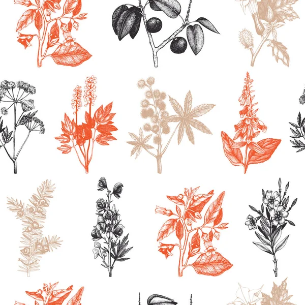 Plantas nocivas vintage bosquejo fondo . — Vector de stock