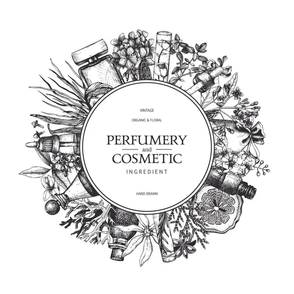Ingredientes de perfumaria e cosméticos desenhados à mão —  Vetores de Stock