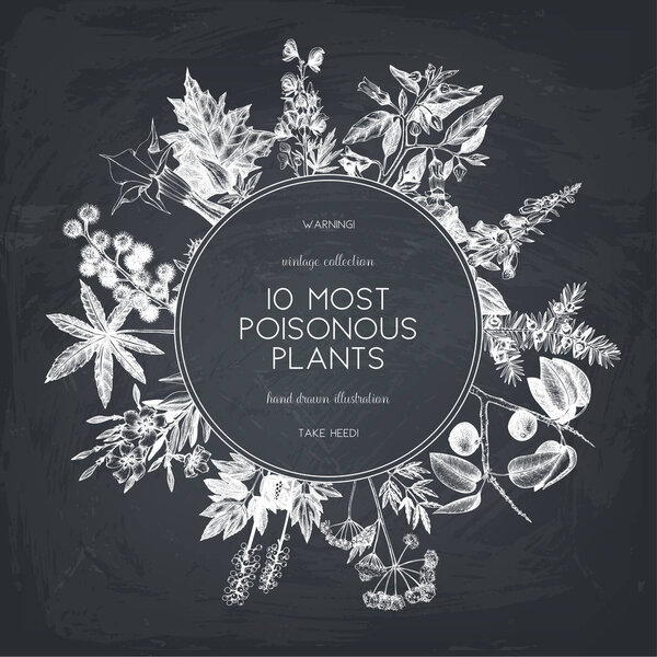 Винтажные вредные растения рисунок фона
. 