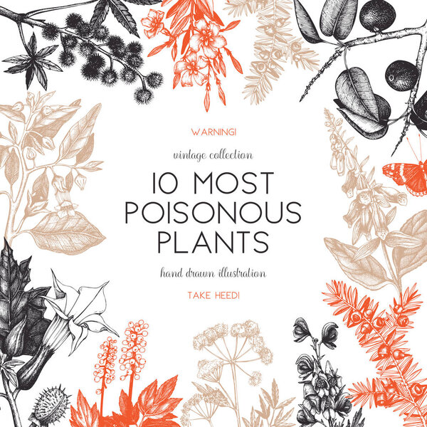 Винтажные вредные растения рисунок фона
. 