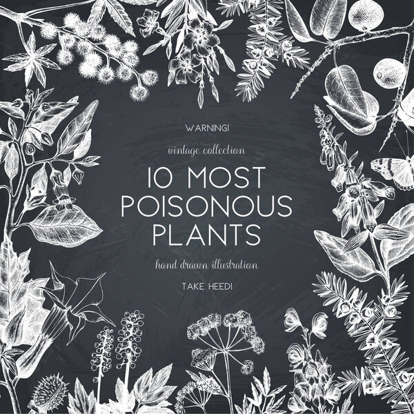 Винтажные вредные растения рисунок фона
. 