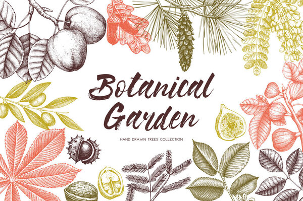 Botanical garden drawing frame
