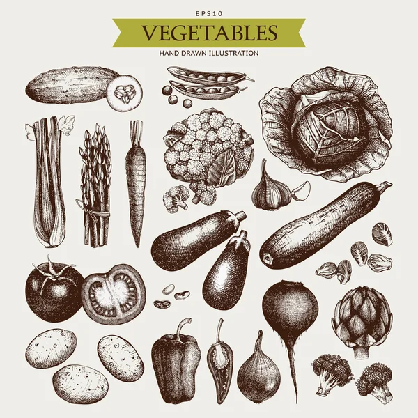 Tinta dibujado a mano verduras boceto — Vector de stock