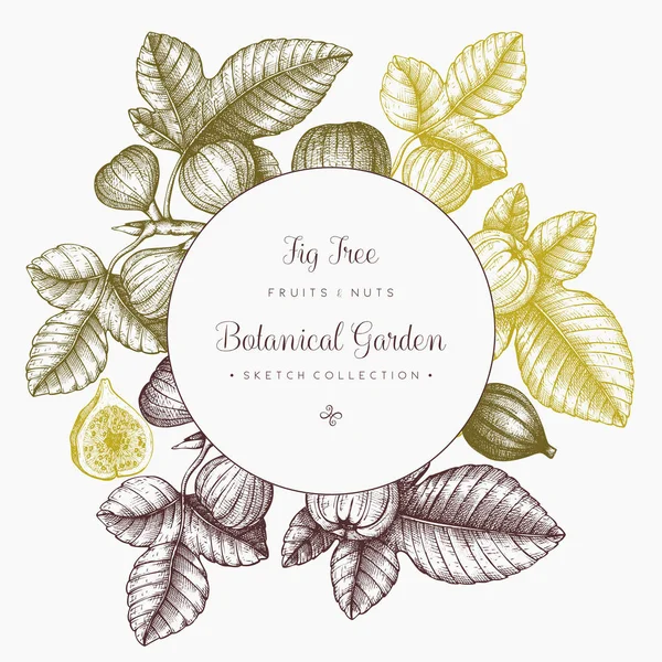 Design with hand drawn fig trees branch — Stock Illustration Design with hand drawn fig trees branch Royalty Free Stock Illustrations