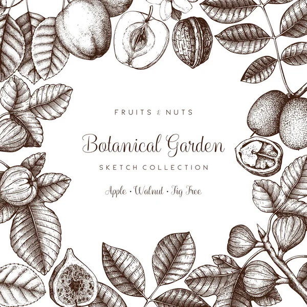 Botanical garden drawing frame — Stock Illustration Botanical garden drawing frame Royalty Free Stock Illustrations