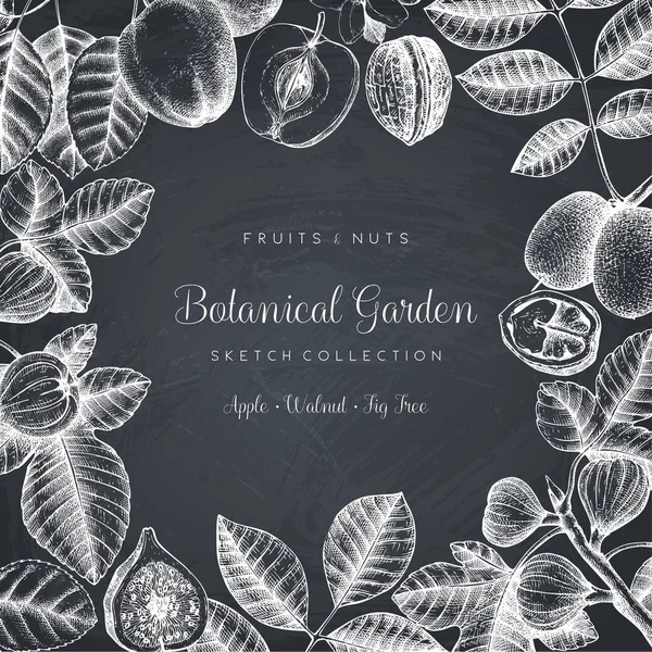 Botanical garden drawing frame — Stock Illustration Botanical garden drawing frame Royalty Free Stock Vectors