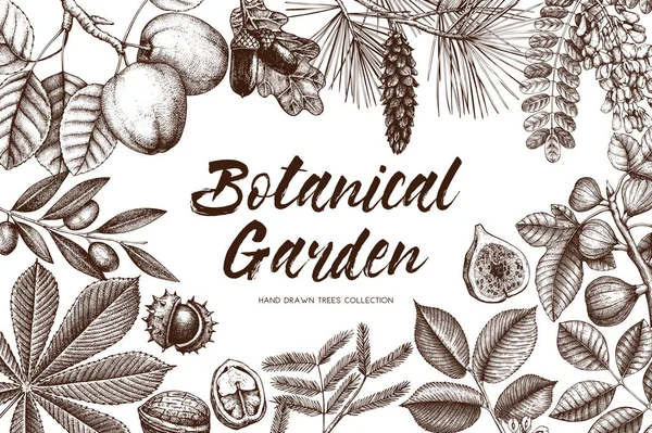 Botanical garden drawing frame — Stock Illustration Botanical garden drawing frame Royalty Free Stock Illustrations