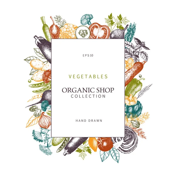 Hand drawn vegetables and spices sketch. — Stock Illustration Hand drawn vegetables and spices sketch. Stock Illustration