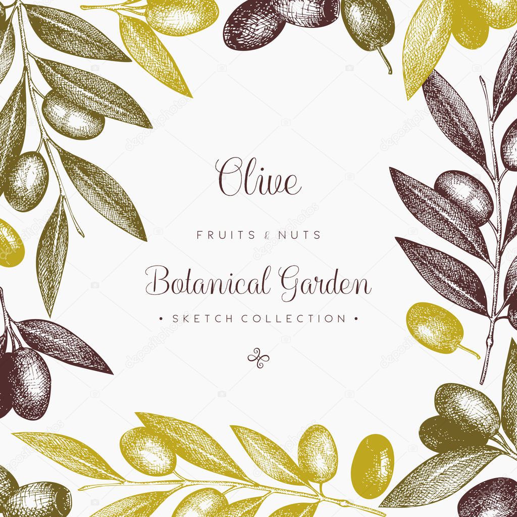 Olive branch wreath   template