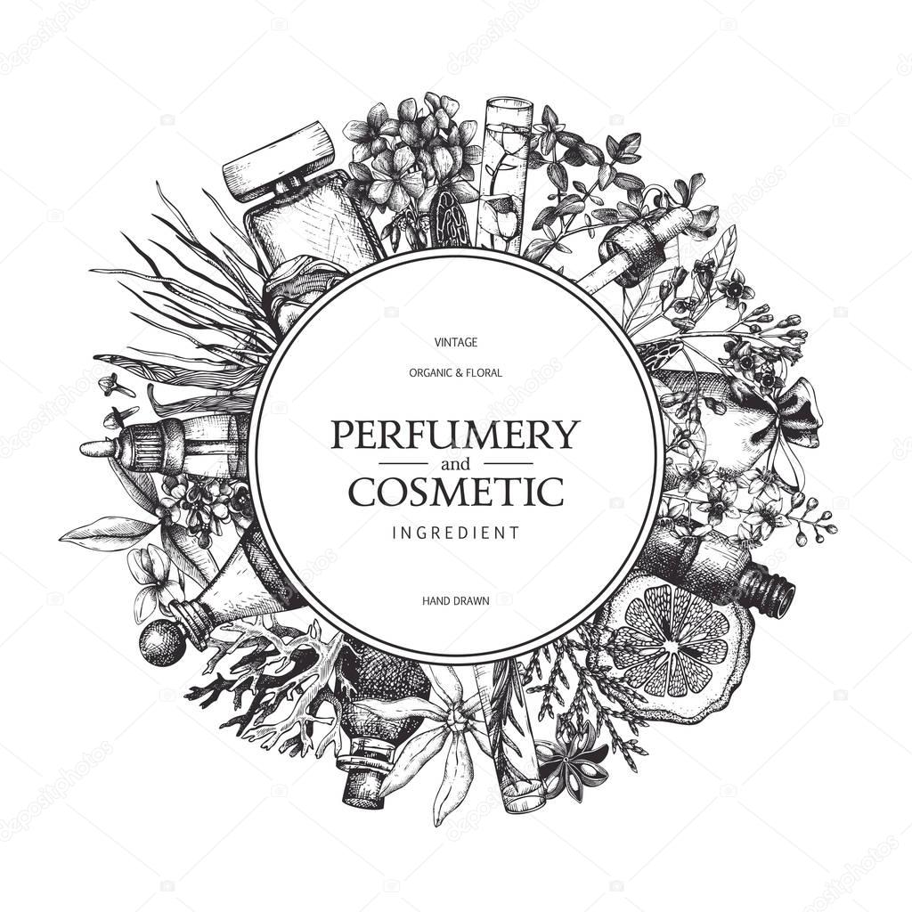 hand drawn perfumery and cosmetics ingredients