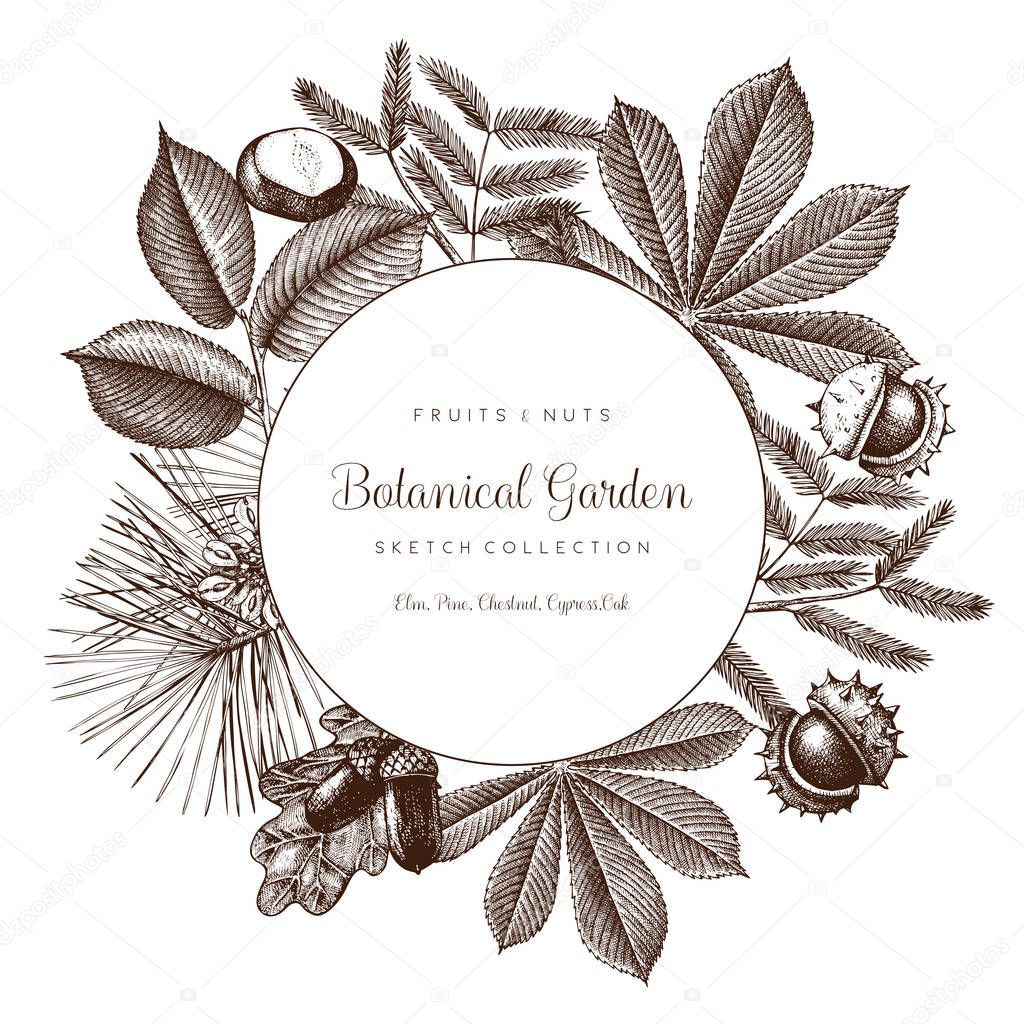 Botanical garden illustration