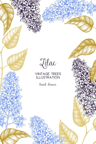 Blooming branches of lilac tree frame — Stock Vector