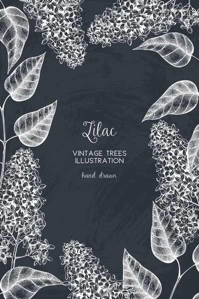 Ramas florecientes de marco de árbol lila — Archivo Imágenes Vectoriales