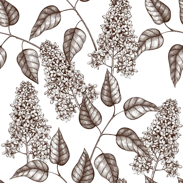 라일락 나무 스케치 패턴 — 스톡 벡터