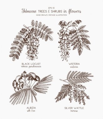 Vintage trees and shrubs in flowers illustration clipart