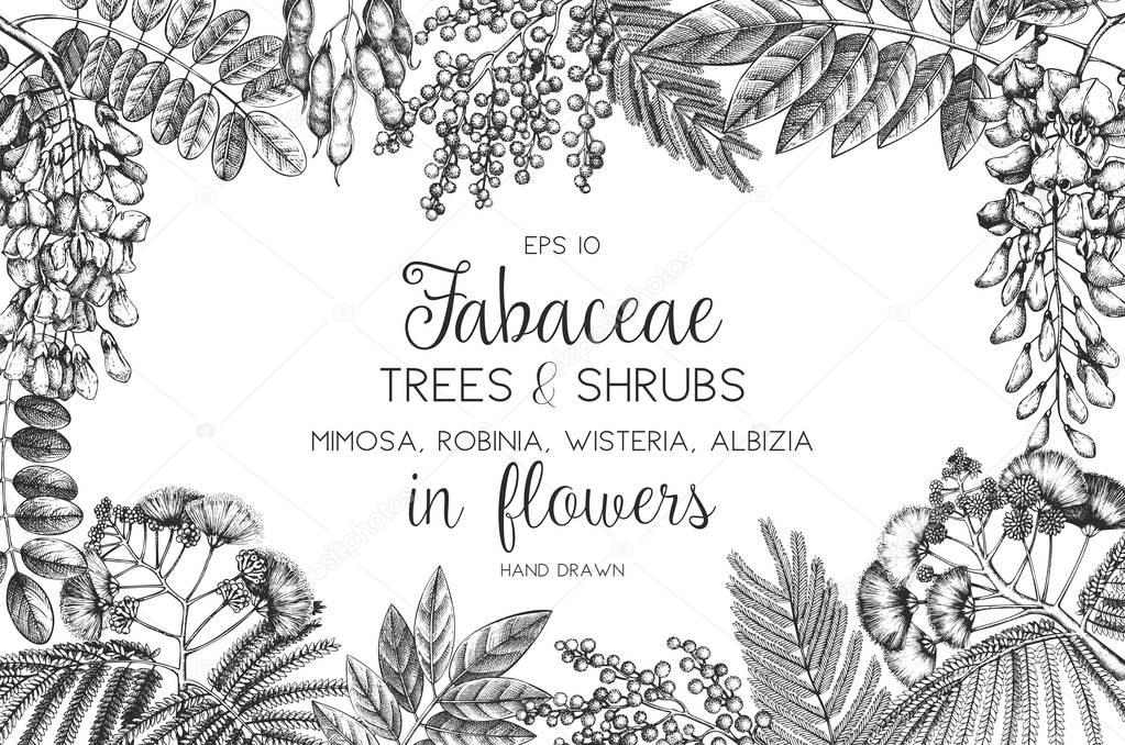 Vintage trees and shrubs in flowers illustration