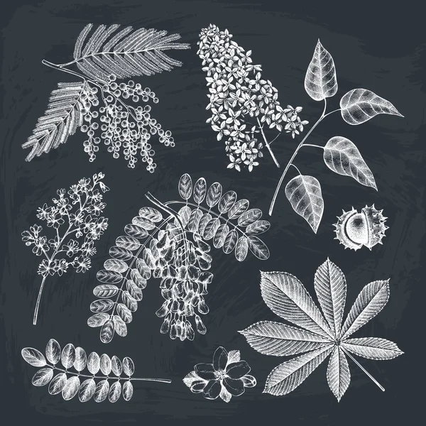 植物園ストックベクター ロイヤリティフリー植物園イラスト Depositphotos 植物園ストックベクター ロイヤリティフリー植物園イラスト Depositphotos
