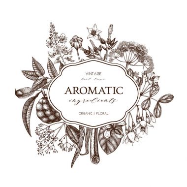 Aromatik ve tıbbi bitki tasarım.