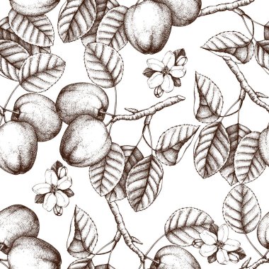 Elma kroki ile Seamless Modeli.