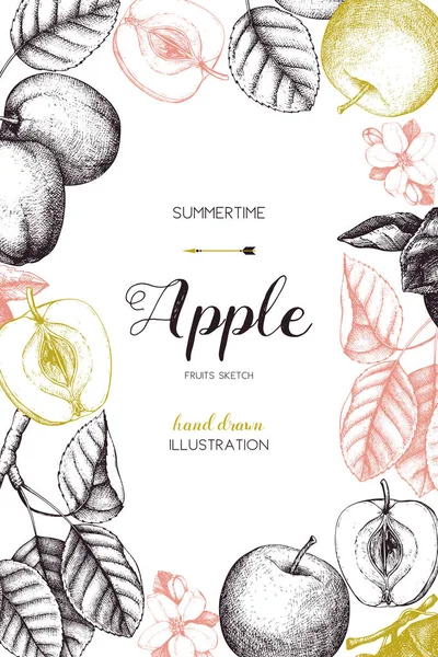 Diseño de tarjeta vintage con boceto de frutas de manzana . — Vector de stock
