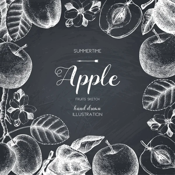 Design de cartão vintage com esboço de frutas de maçã . — Vetor de Stock
