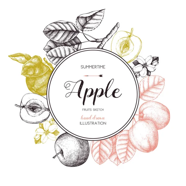 Вінтажний дизайн листівки з яблучними фруктами ескіз . — стоковий вектор