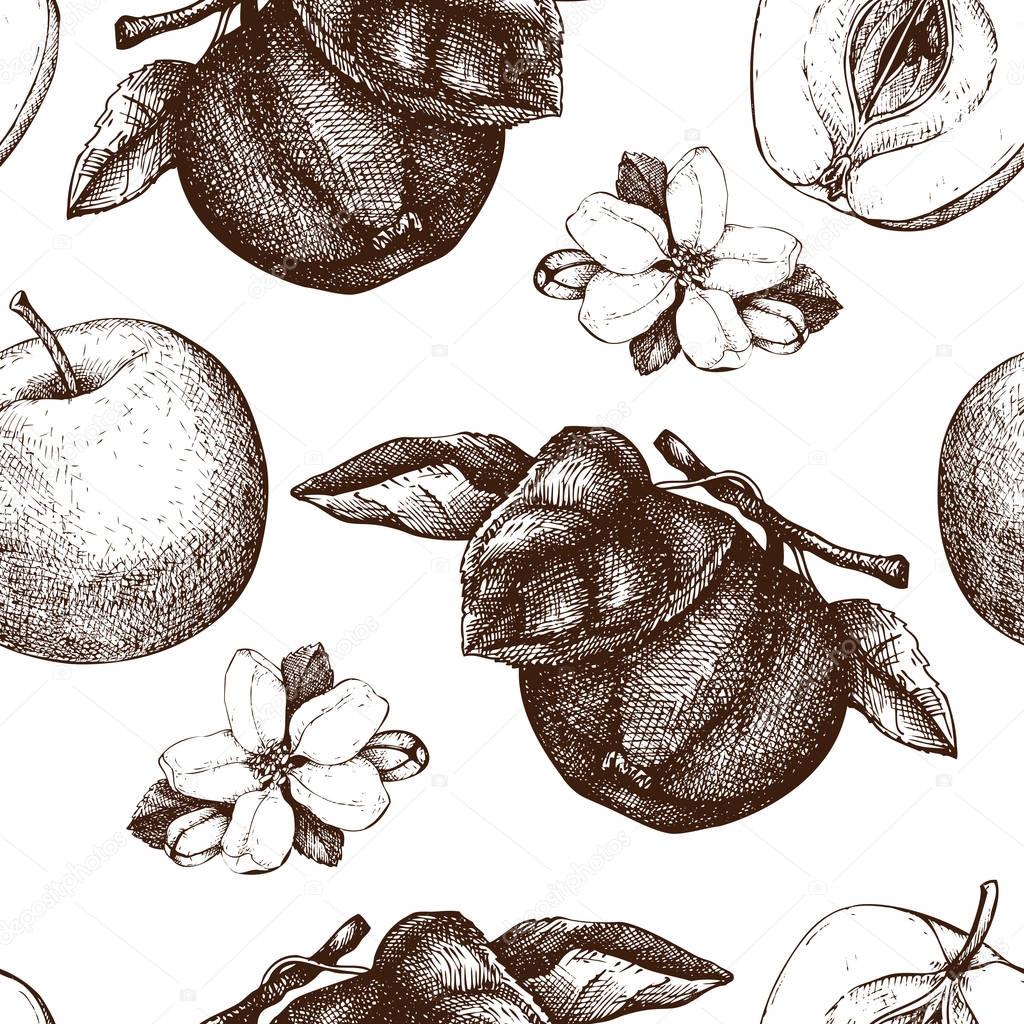Seamless pattern with apple sketch.