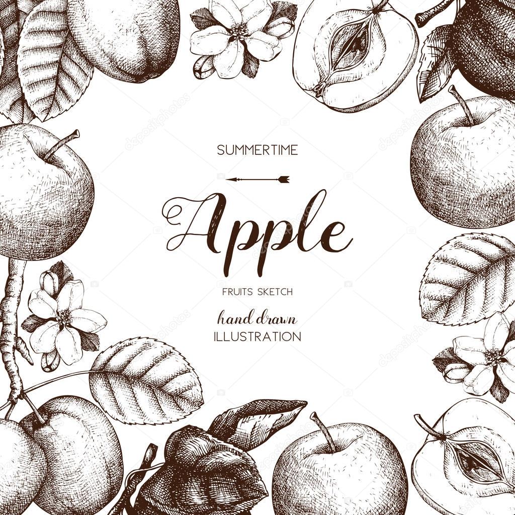 Vintage card design with apple fruits sketch.