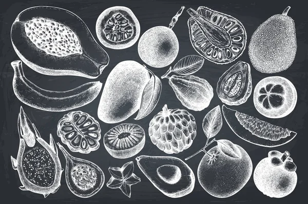 Συλλογή διανυσματικά εικονογράφηση τροπικά φρούτα. — Διανυσματικό Αρχείο