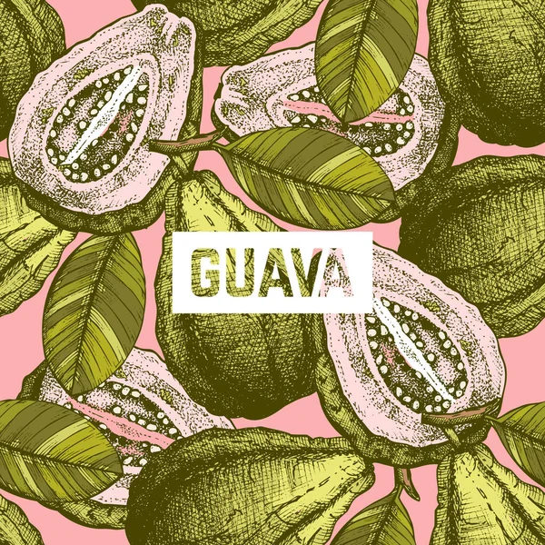 Vektor Guava gyümölcs háttér. — Stock Vector