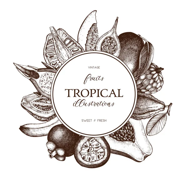 Moldura vetorial com frutas tropicais — Vetor de Stock