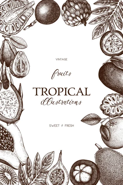 与热带水果矢量帧 — 图库矢量图片