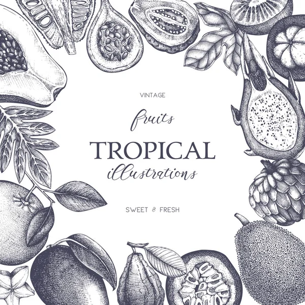 Telaio vettoriale con frutti tropicali — Vettoriale Stock
