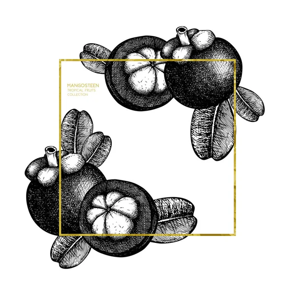 Illustrazione di frutta viola mangostano — Vettoriale Stock