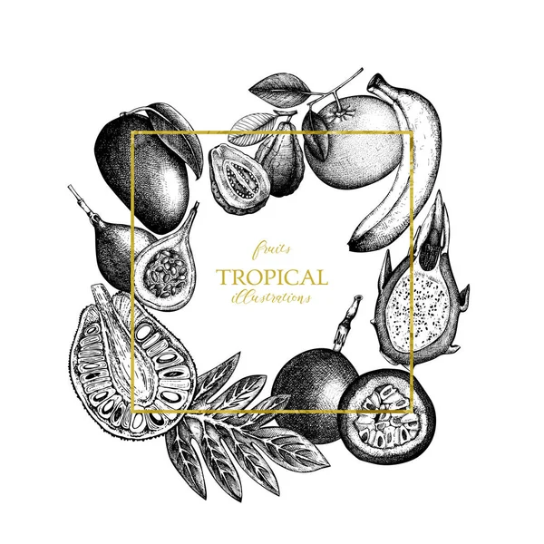 Cadre vectoriel avec fruits tropicaux — Image vectorielle