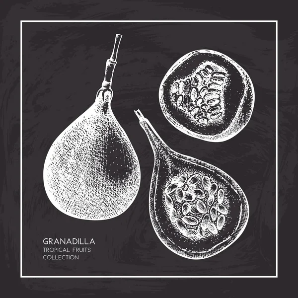 Sweet granadilla illustration. — 图库矢量图片