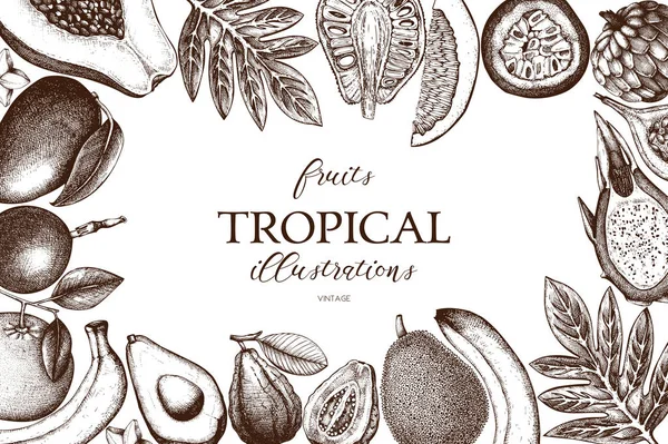 Marco vectorial con frutas tropicales — Archivo Imágenes Vectoriales