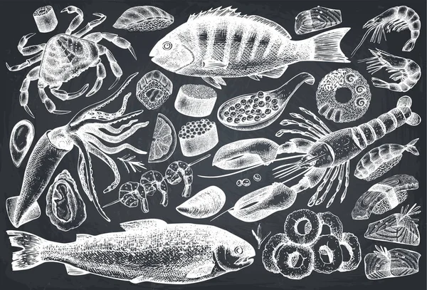 Set illustrazioni di frutti di mare disegnati a mano — Vettoriale Stock