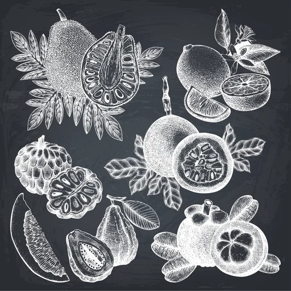 Collection de fruits tropicaux dessinés à la main — Image vectorielle