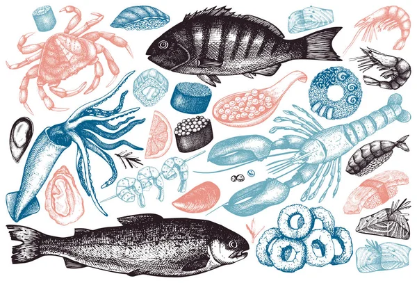 Set illustrazioni di frutti di mare disegnati a mano — Vettoriale Stock