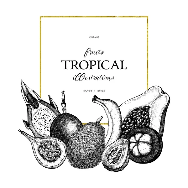Disegno frutti tropicali — Vettoriale Stock