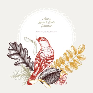 Vektör sonbahar tasarım kartı.