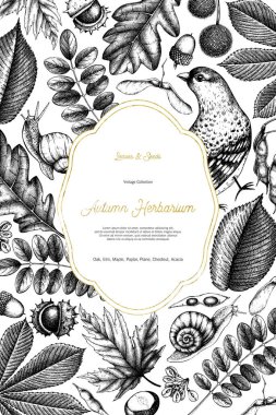 Vektör sonbahar tasarım cardwith altın