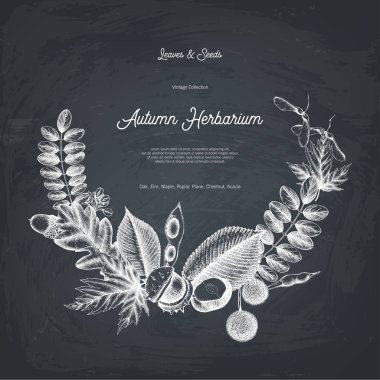 Vektör sonbahar tasarım kartta kara tahta