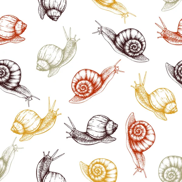 Seamless pattern with hand drawn snails — Stock Vector