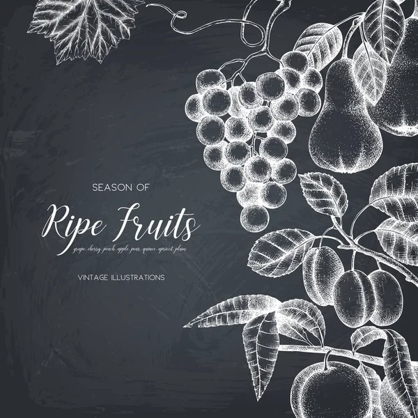 Design de carte de fruits vintage sur tableau — Image vectorielle